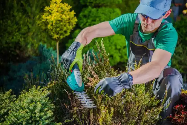 landscaping services Temperance